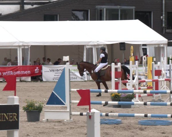 Reitturnier Datteln 2024