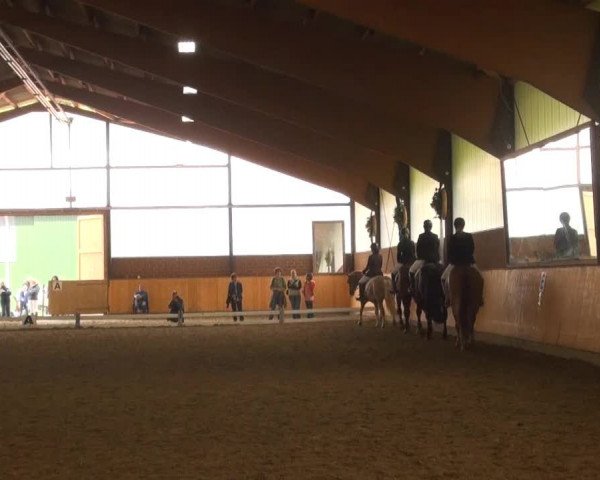 Iserlohn-Kalthof 2013