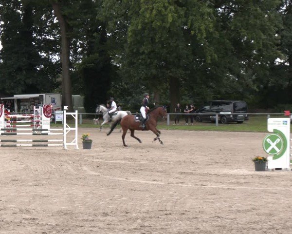 Reitturnier Datteln 2024