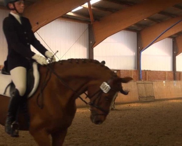 Reitturnier Iserlohn-Kalthof 2013
