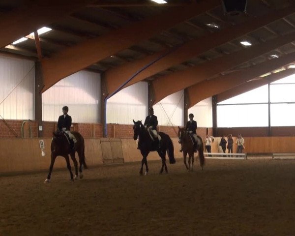 Iserlohn-Kalthof 2013