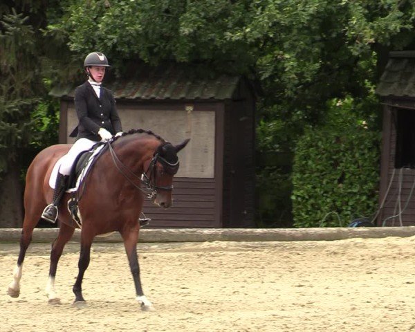 Reitturnier Datteln 2024
