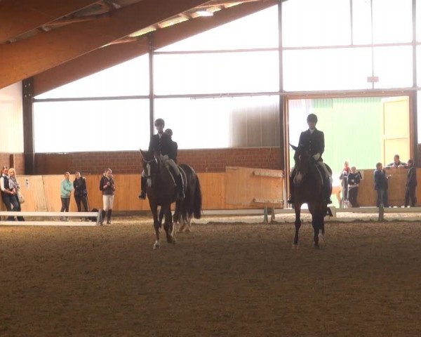 Iserlohn-Kalthof 2013