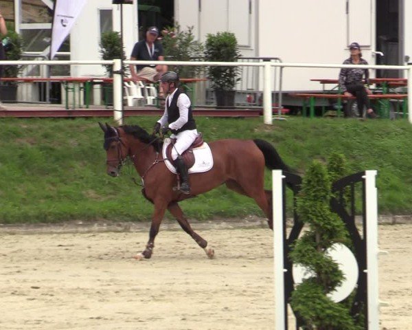 Reitturnier Bergisch Gladbach - Hebborner Hof 2024