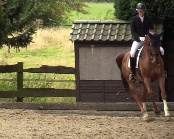 Reitturnier Datteln 2024