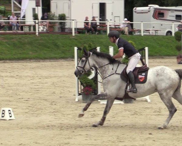 Reitturnier Bergisch Gladbach - Hebborner Hof 2024