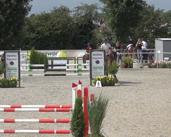 Reitturnier Stolberg-Büsbach 2024