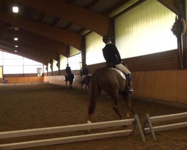 Iserlohn-Kalthof 2013