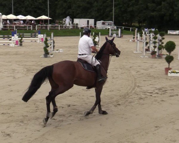 Reitturnier Bergisch Gladbach - Hebborner Hof 2024