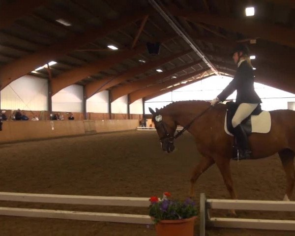Iserlohn-Kalthof 2013