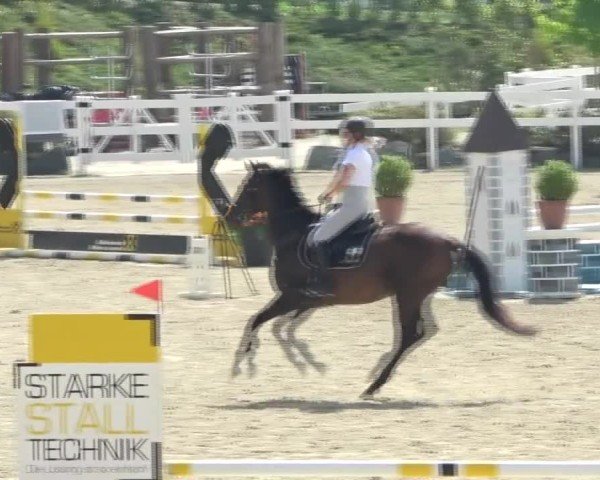 Reitturnier St. Margarethen 2024