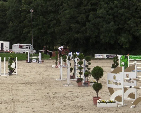 Reitturnier Bergisch Gladbach - Hebborner Hof 2024