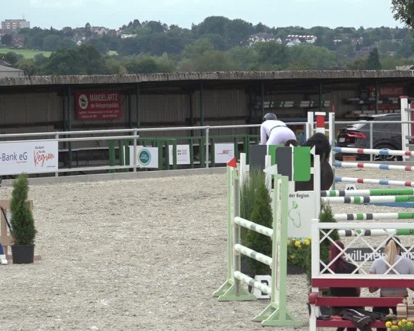 Reitturnier Stolberg-Büsbach 2024