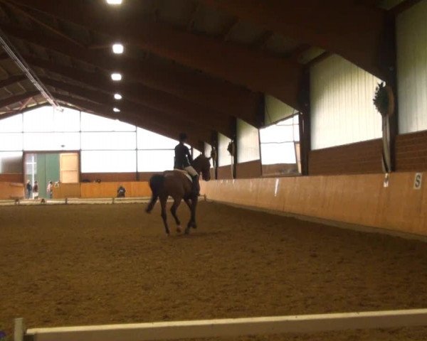 Reitturnier Iserlohn-Kalthof 2013