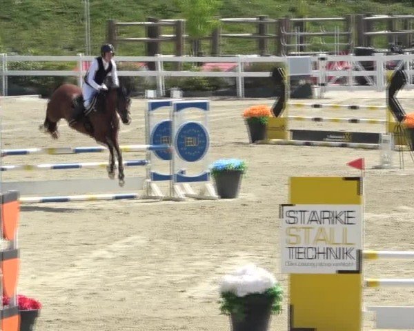 Reitturnier St. Margarethen 2024