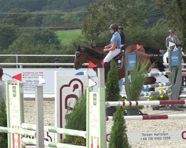 Reitturnier Stolberg-Büsbach 2024