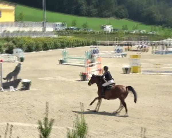 Reitturnier St. Margarethen 2024