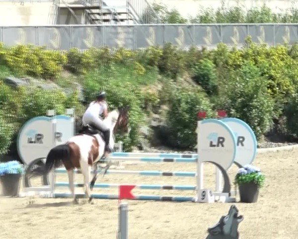 Reitturnier St. Margarethen 2024