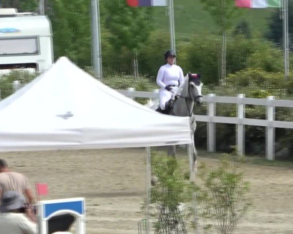 Reitturnier St. Margarethen 2024