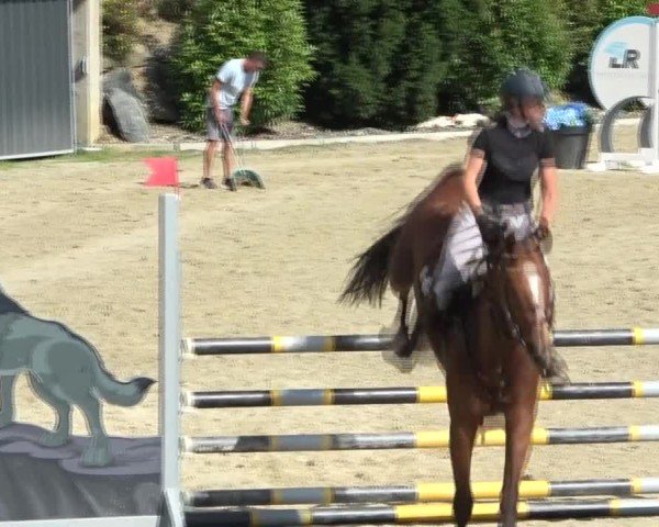 Reitturnier St. Margarethen 2024