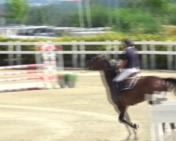 Reitturnier St. Margarethen 2024
