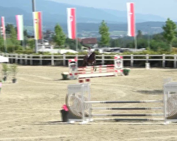 Reitturnier St. Margarethen 2024