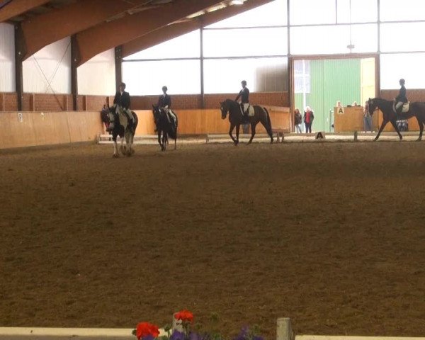 Iserlohn-Kalthof 2013