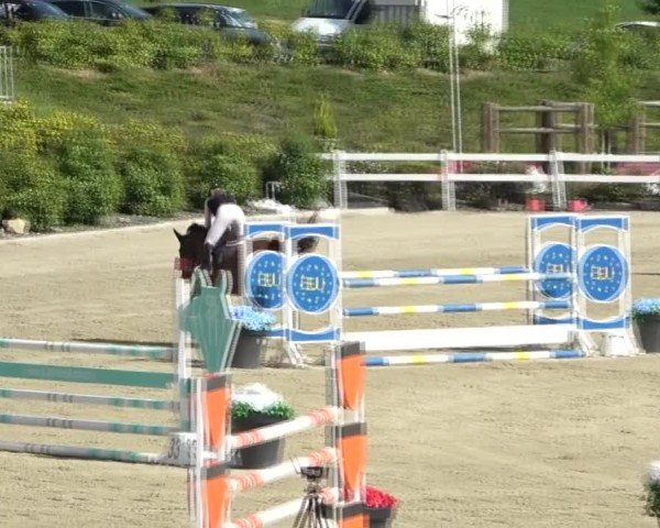 Reitturnier St. Margarethen 2024