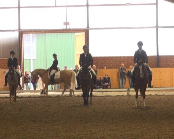 Iserlohn-Kalthof 2013