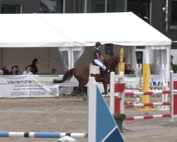 Reitturnier Datteln 2024