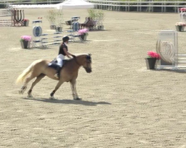 Reitturnier St. Margarethen 2024