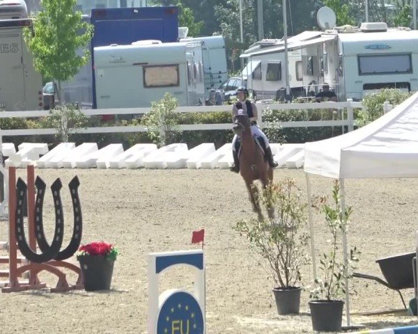 Reitturnier St. Margarethen 2024