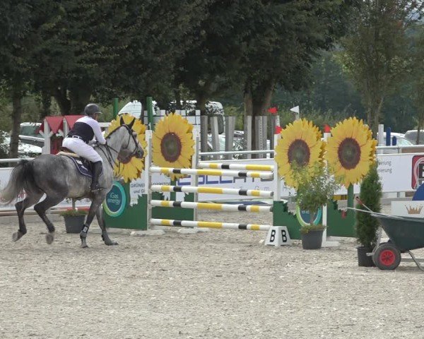 Reitturnier Stolberg-Büsbach 2024