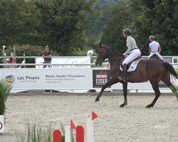 Reitturnier Stolberg-Büsbach 2024