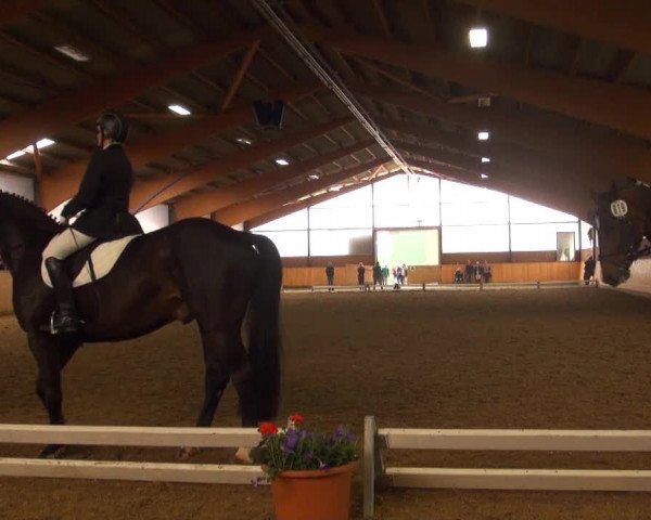 Iserlohn-Kalthof 2013