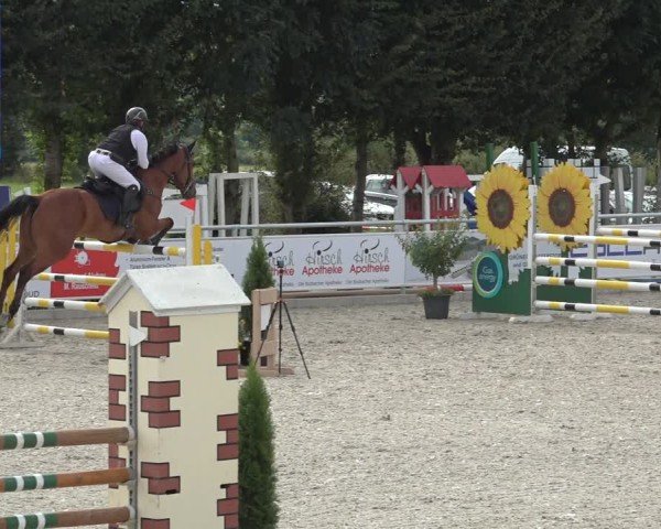 Reitturnier Stolberg-Büsbach 2024