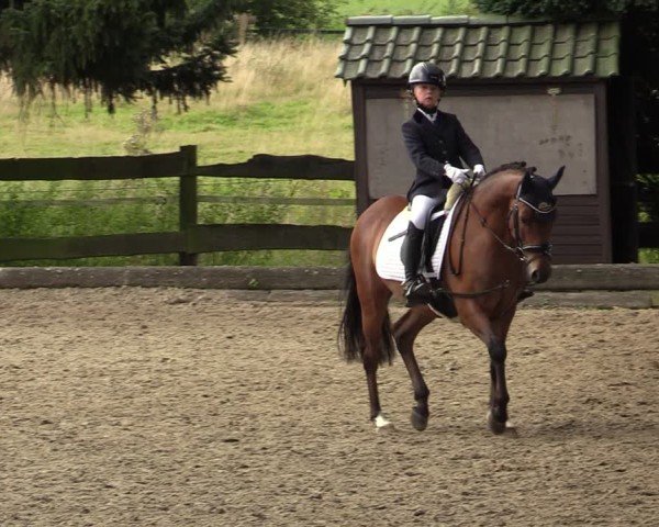Reitturnier Datteln 2024
