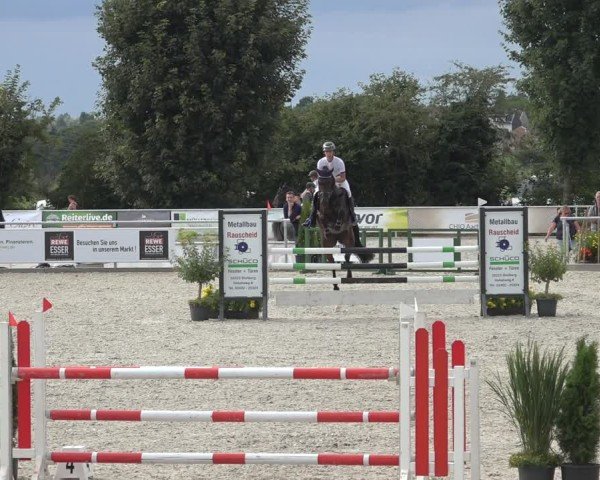 Reitturnier Stolberg-Büsbach 2024