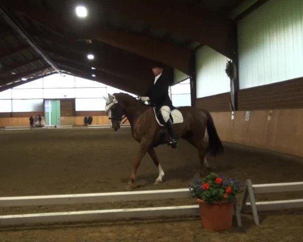 Iserlohn-Kalthof 2013