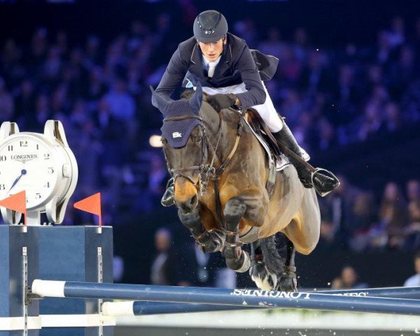 jumper Sweet de Beaufour (Selle Français, 2006, from Diamant de Semilly)