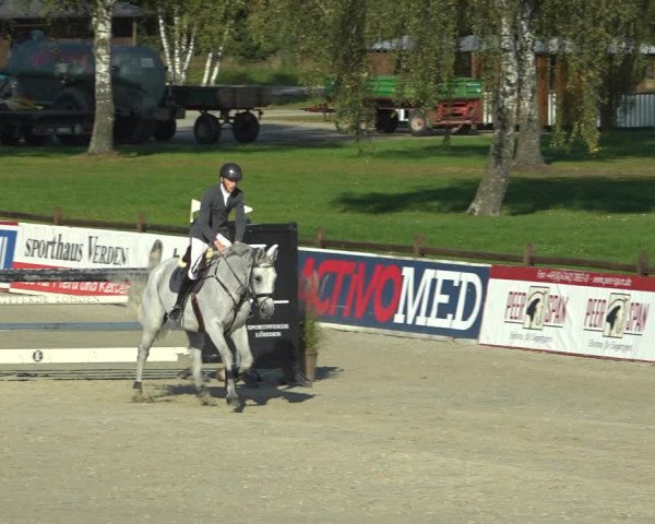 Reitturnier Westergellersen 2021