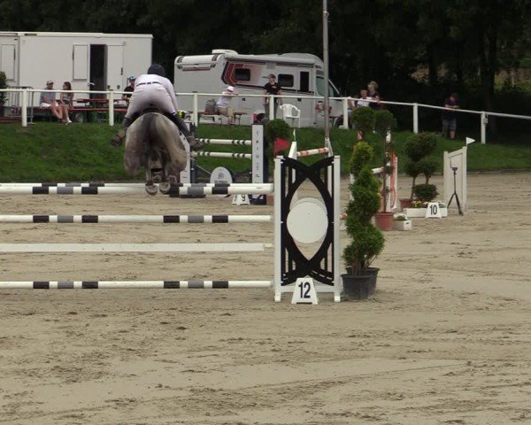 Reitturnier Bergisch Gladbach - Hebborner Hof 2024