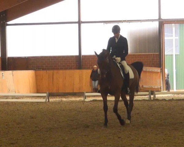 Iserlohn-Kalthof 2013