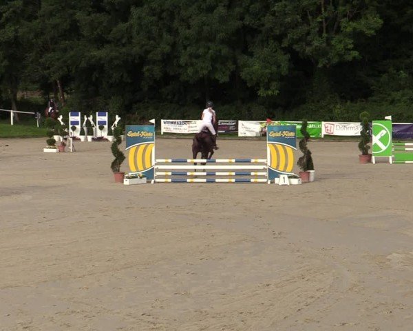 Reitturnier Bergisch Gladbach - Hebborner Hof 2024