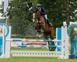 Springpferd Bentley one (Zangersheide Reitpferd, 2018, von Constanzehof's Barcley)