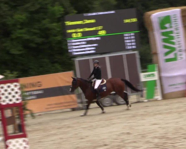 Reitturnier Münster-Albachten 2024