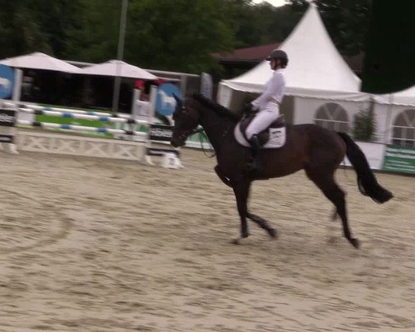 Reitturnier Münster-Albachten 2024