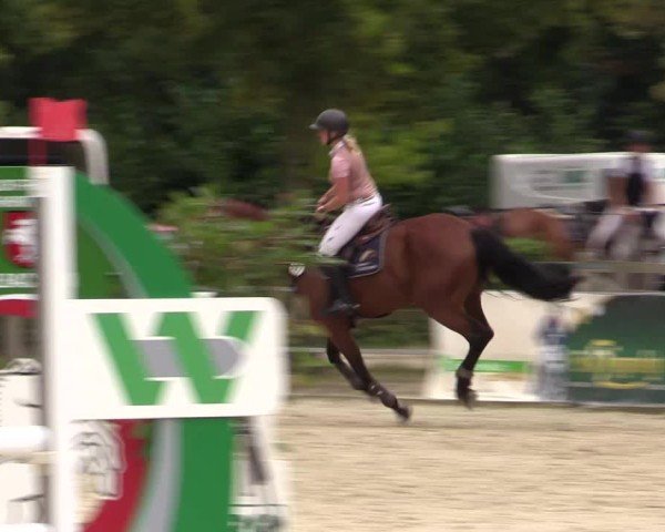 Reitturnier Münster-Albachten 2024