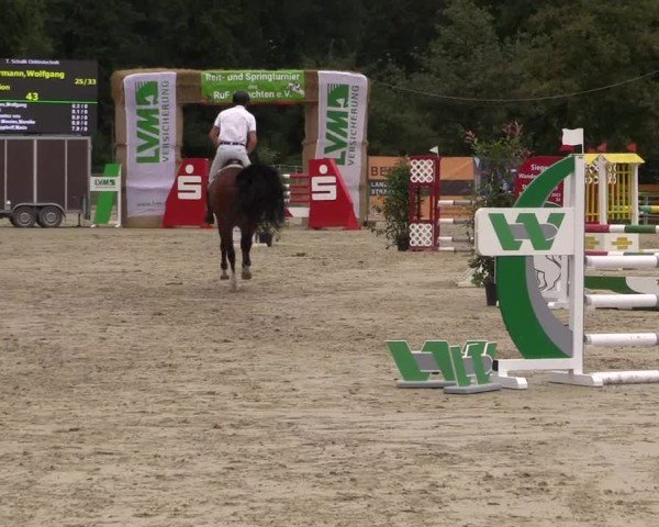 Reitturnier Münster-Albachten 2024