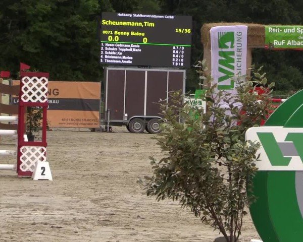Reitturnier Münster-Albachten 2024